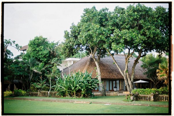 Où pratiquer le snorkeling au milieu des raies manta à Hawaii ?